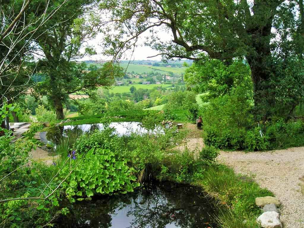 deux petites mares d'eau avec végétation aquatique autour avec point de vue sur les côteaux