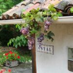 plaque du gîte Ostal avec grappes de raisin rouge qui descendent du toit