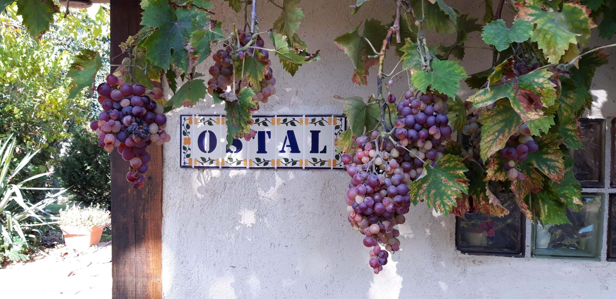 plaque en céramique avec le nom du gîte Ostal dessus et grappes de raisins rouges autour