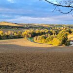 vue sur les champs labourés et la campagne en fin de journée avec un soleil couchant