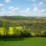 vue sur les côteaux, champs jaune et verts